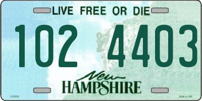 NH license plate 1024403