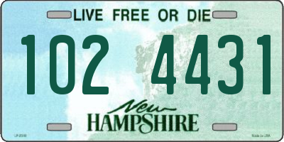NH license plate 1024431
