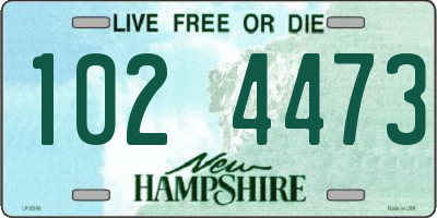 NH license plate 1024473
