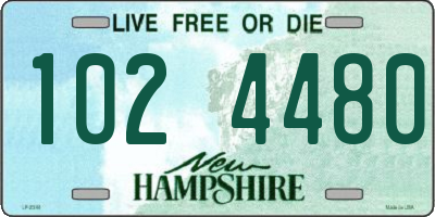 NH license plate 1024480