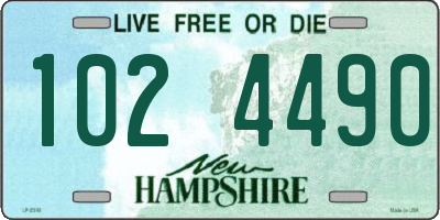 NH license plate 1024490