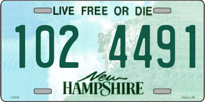 NH license plate 1024491