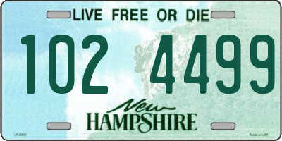 NH license plate 1024499