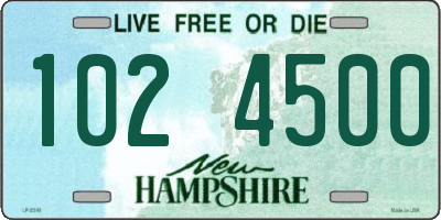 NH license plate 1024500