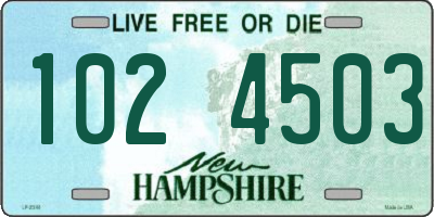 NH license plate 1024503