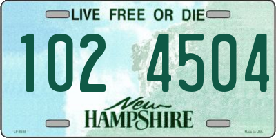 NH license plate 1024504
