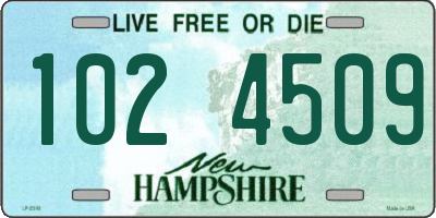 NH license plate 1024509