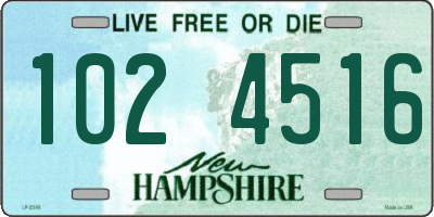 NH license plate 1024516