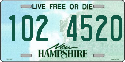 NH license plate 1024520