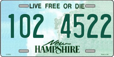 NH license plate 1024522