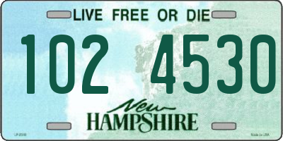 NH license plate 1024530