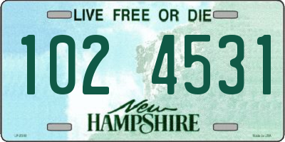 NH license plate 1024531