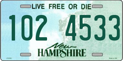 NH license plate 1024533