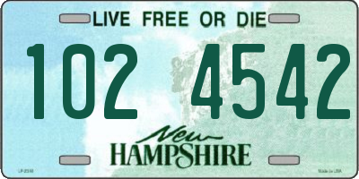 NH license plate 1024542