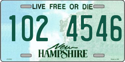 NH license plate 1024546