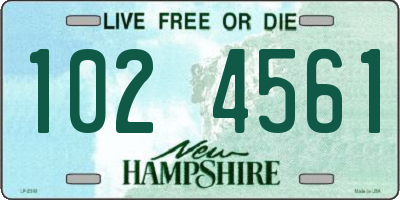 NH license plate 1024561