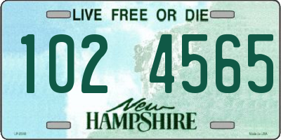 NH license plate 1024565