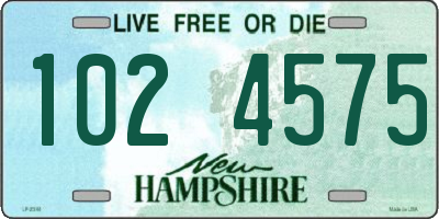 NH license plate 1024575