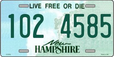 NH license plate 1024585