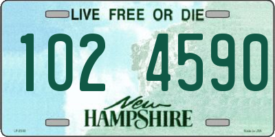 NH license plate 1024590