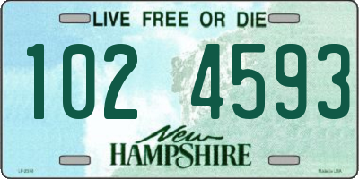 NH license plate 1024593