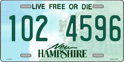 NH license plate 1024596