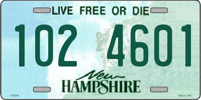 NH license plate 1024601
