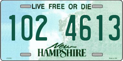 NH license plate 1024613