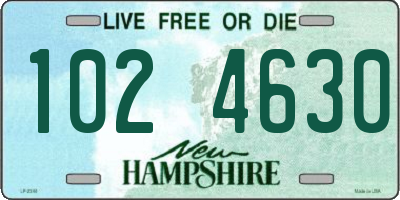 NH license plate 1024630