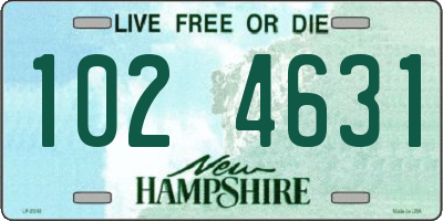 NH license plate 1024631