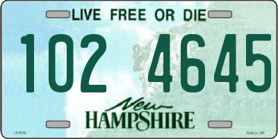 NH license plate 1024645