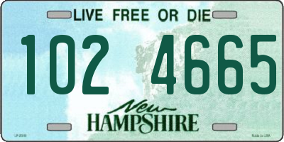 NH license plate 1024665