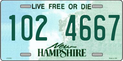 NH license plate 1024667