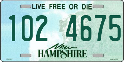 NH license plate 1024675