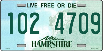 NH license plate 1024709