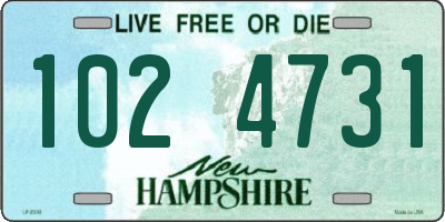 NH license plate 1024731