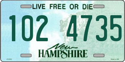 NH license plate 1024735