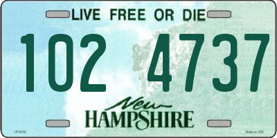 NH license plate 1024737