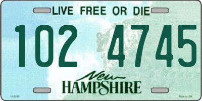 NH license plate 1024745