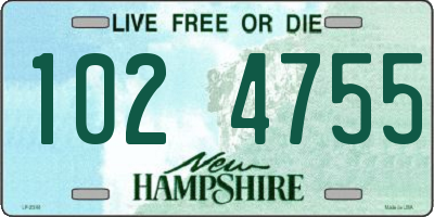 NH license plate 1024755