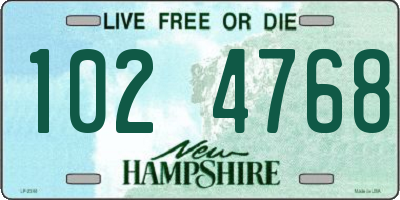 NH license plate 1024768