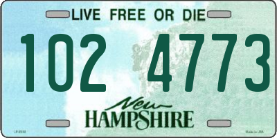 NH license plate 1024773