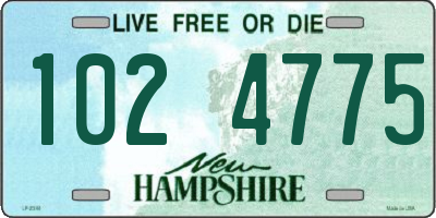 NH license plate 1024775