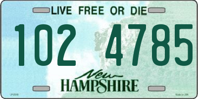 NH license plate 1024785