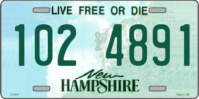 NH license plate 1024891