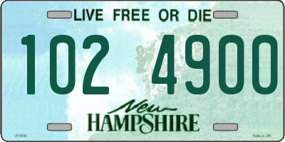 NH license plate 1024900