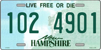 NH license plate 1024901