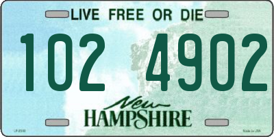 NH license plate 1024902