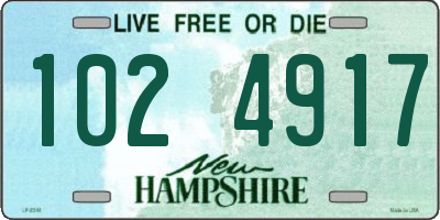 NH license plate 1024917