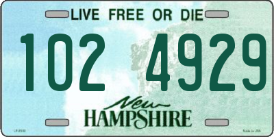 NH license plate 1024929
